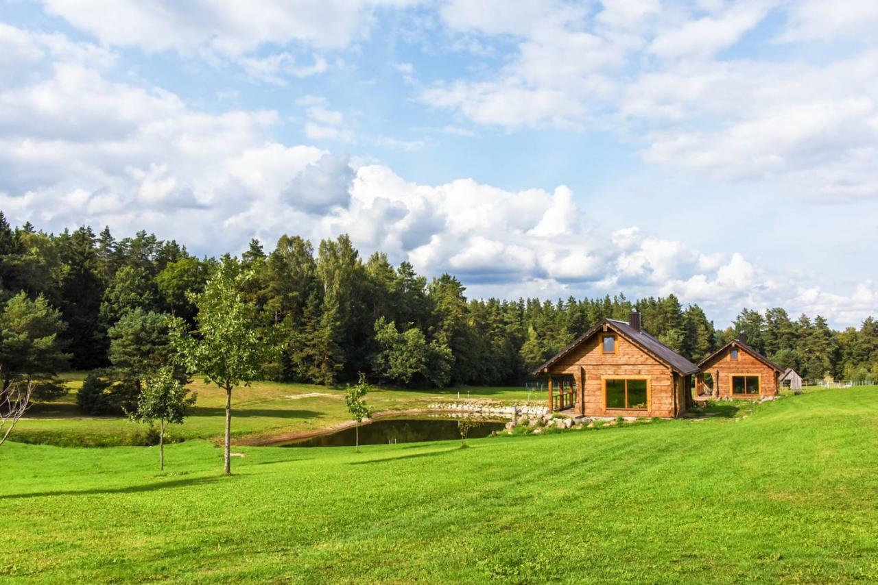 Vip Forest Dreams Villa Аникщяй Экстерьер фото