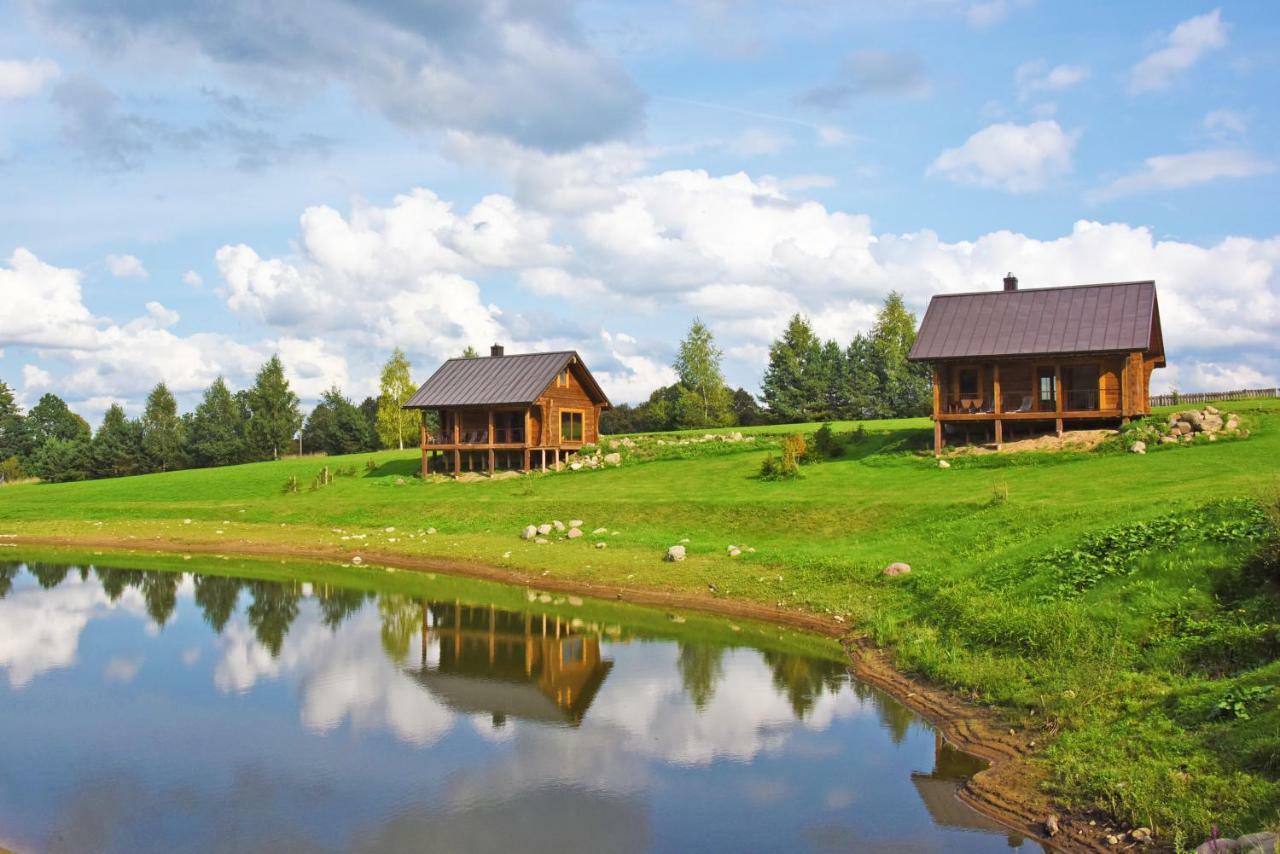 Vip Forest Dreams Villa Аникщяй Экстерьер фото